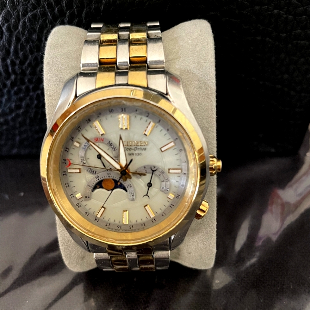 Mens Citizen Watch